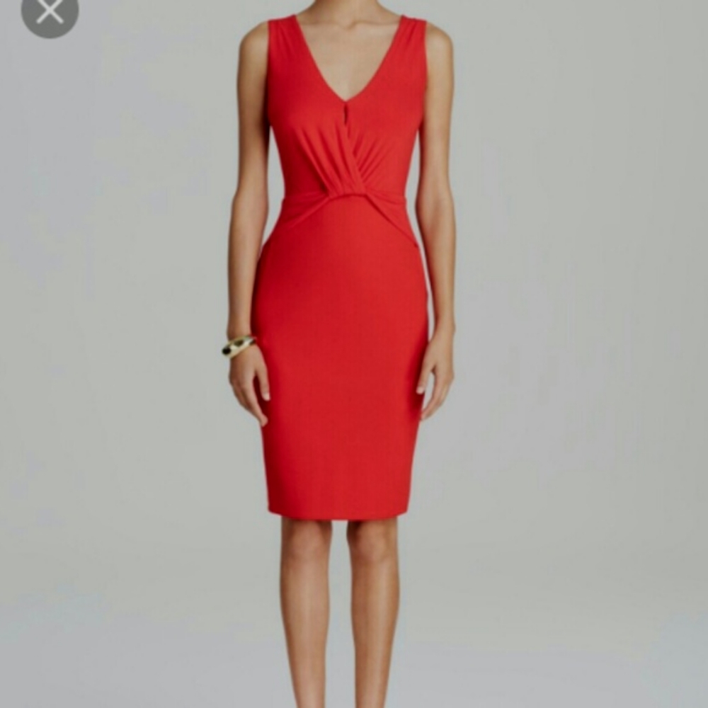 Bailey 44 red bodycon dress